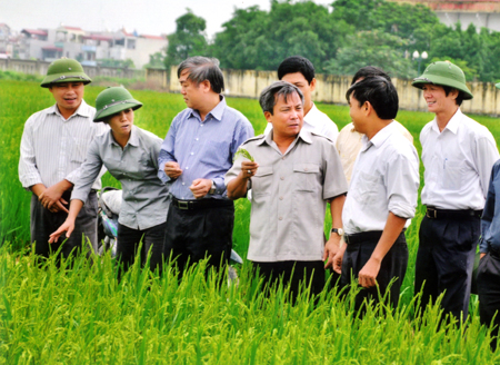   Hưng Yên: Phấn đấu hoàn thành thắng lợi nhiệm vụ phát triển kinh tế - xã hội năm 2014